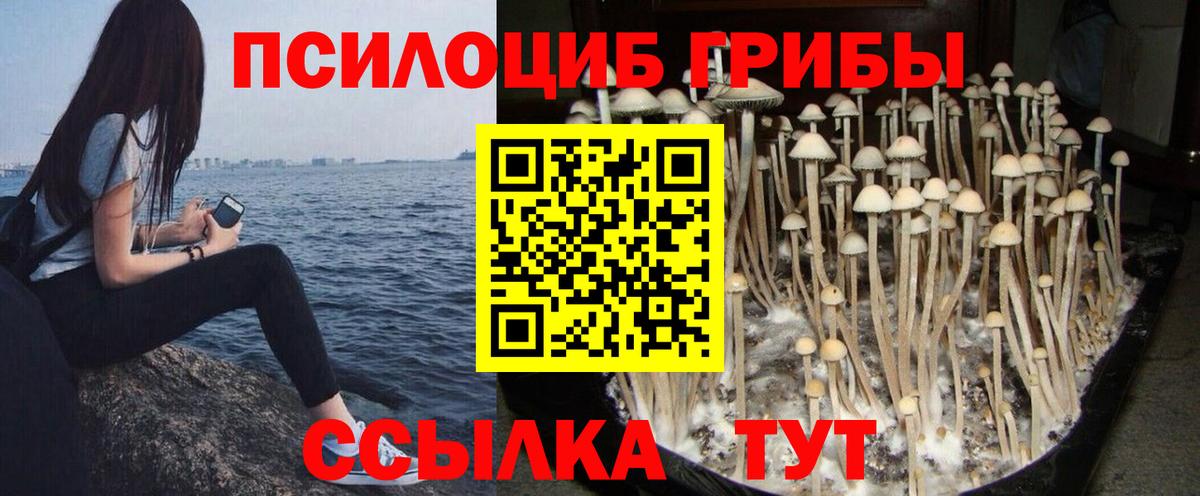 Галлюциногенные грибы ЛСД Архангельск